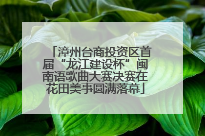 漳州台商投资区首届“龙江建设杯”闽南语歌曲大赛决赛在花田美事圆满落幕