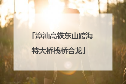 漳汕高铁东山跨海特大桥栈桥合龙