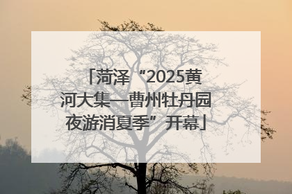 菏泽“2025黄河大集—曹州牡丹园夜游消夏季”开幕