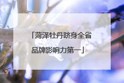 菏泽牡丹跻身全省品牌影响力第一