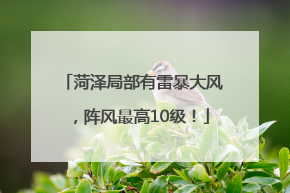 菏泽局部有雷暴大风，阵风最高10级！