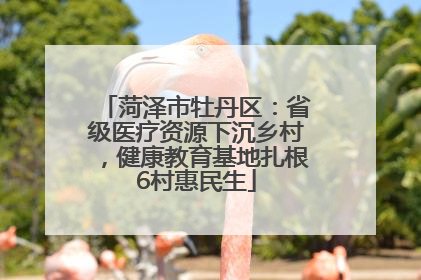 菏泽市牡丹区：省级医疗资源下沉乡村，健康教育基地扎根6村惠民生