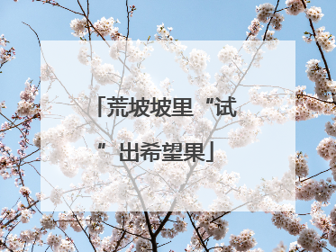 荒坡坡里“试”出希望果