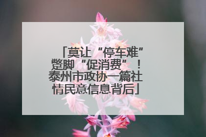 莫让“停车难”蹩脚“促消费”！泰州市政协一篇社情民意信息背后