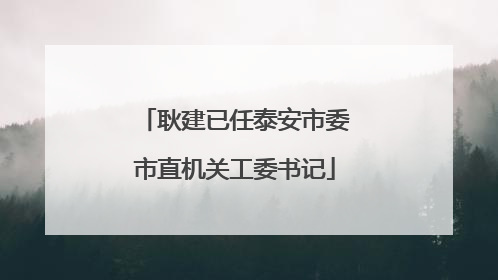 耿建已任泰安市委市直机关工委书记