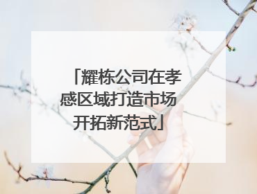 耀栋公司在孝感区域打造市场开拓新范式