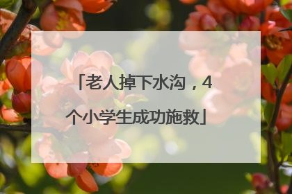 老人掉下水沟，4个小学生成功施救