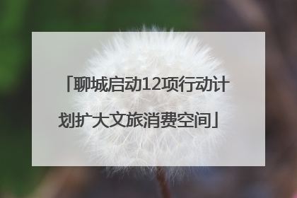 聊城启动12项行动计划扩大文旅消费空间