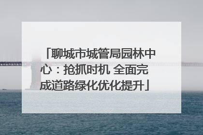 聊城市城管局园林中心：抢抓时机 全面完成道路绿化优化提升