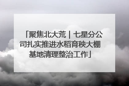 聚焦北大荒｜七星分公司扎实推进水稻育秧大棚基地清理整治工作