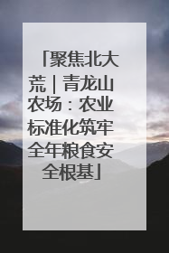 聚焦北大荒｜青龙山农场：农业标准化筑牢全年粮食安全根基