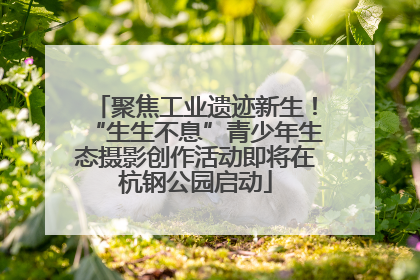聚焦工业遗迹新生！“生生不息”青少年生态摄影创作活动即将在杭钢公园启动