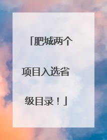 肥城两个项目入选省级目录！