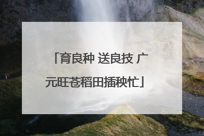 育良种 送良技 广元旺苍稻田插秧忙