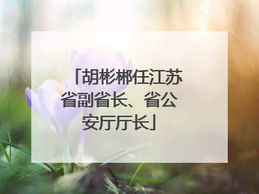 胡彬郴任江苏省副省长、省公安厅厅长