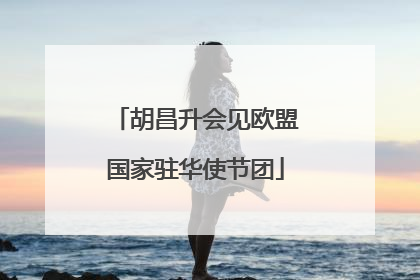 胡昌升会见欧盟国家驻华使节团