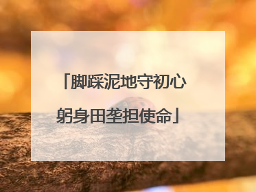 脚踩泥地守初心 躬身田垄担使命