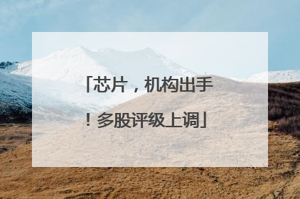 芯片，机构出手！多股评级上调
