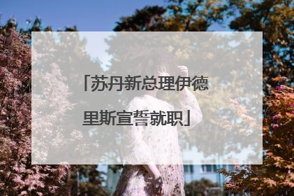苏丹新总理伊德里斯宣誓就职
