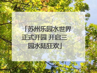 苏州乐园水世界正式开园 开启三园水陆狂欢