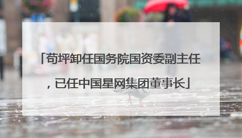 苟坪卸任国务院国资委副主任，已任中国星网集团董事长