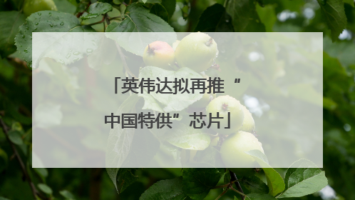 英伟达拟再推“中国特供”芯片