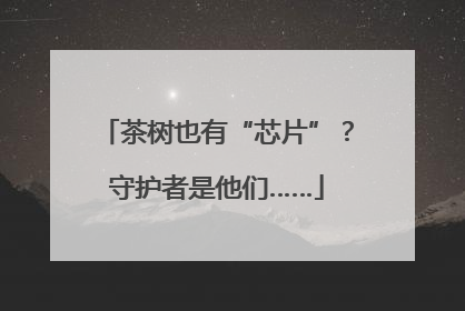 茶树也有“芯片”？守护者是他们……
