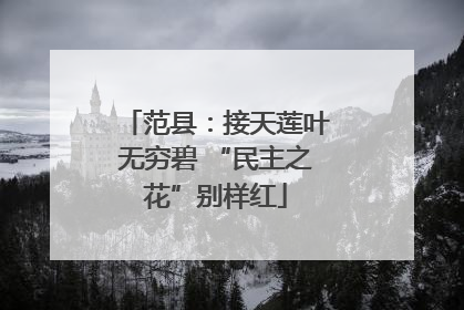 范县：接天莲叶无穷碧 “民主之花”别样红