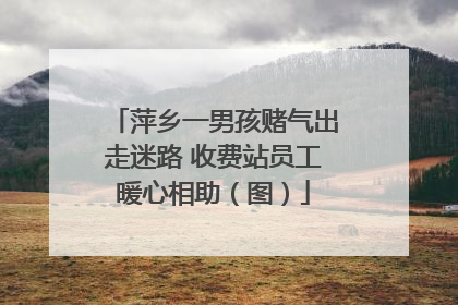 萍乡一男孩赌气出走迷路 收费站员工暖心相助（图）