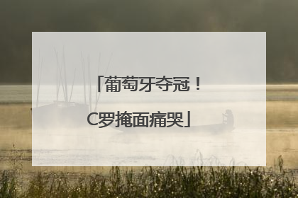 葡萄牙夺冠！C罗掩面痛哭