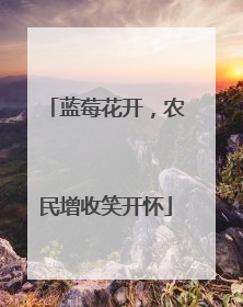 蓝莓花开，农民增收笑开怀