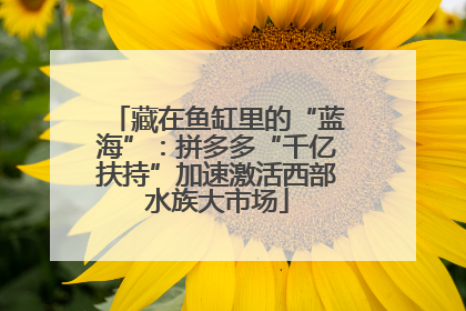 藏在鱼缸里的“蓝海”：拼多多“千亿扶持”加速激活西部水族大市场