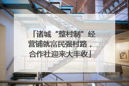 诸城“整村制”经营铺就富民强村路，合作社迎来大丰收