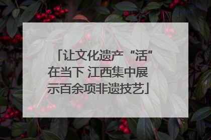 让文化遗产“活”在当下 江西集中展示百余项非遗技艺