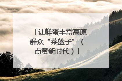 让鲜蛋丰富高原群众“菜篮子”（点赞新时代）