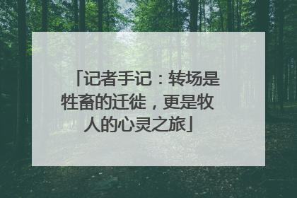 记者手记：转场是牲畜的迁徙，更是牧人的心灵之旅