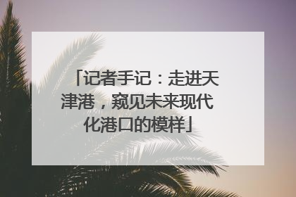 记者手记：走进天津港，窥见未来现代化港口的模样