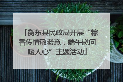 衡东县民政局开展“粽香传情敬老意，端午慰问暖人心”主题活动