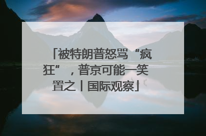 被特朗普怒骂“疯狂”，普京可能一笑置之丨国际观察