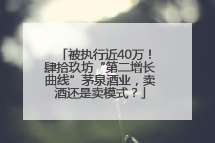 被执行近40万！肆拾玖坊“第二增长曲线”茅泉酒业，卖酒还是卖模式？