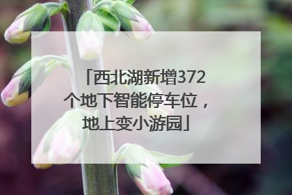 西北湖新增372个地下智能停车位，地上变小游园