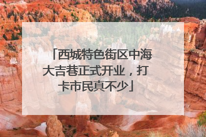 西城特色街区中海大吉巷正式开业，打卡市民真不少