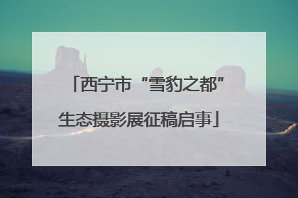 西宁市“雪豹之都”生态摄影展征稿启事