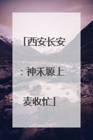 西安长安：神禾塬上麦收忙