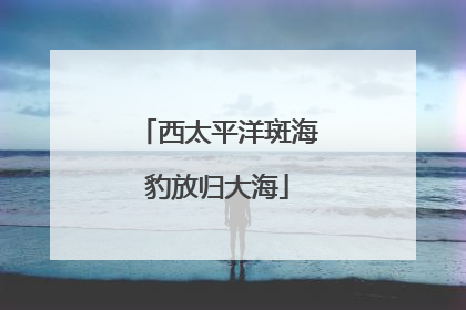 西太平洋斑海豹放归大海