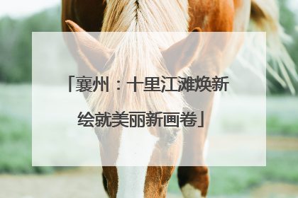 襄州：十里江滩焕新 绘就美丽新画卷