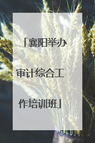 襄阳举办审计综合工作培训班