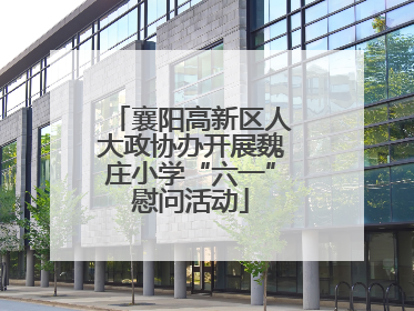 襄阳高新区人大政协办开展魏庄小学“六一”慰问活动