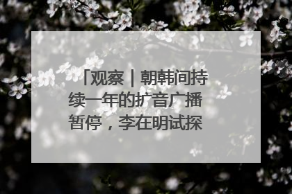 观察｜朝韩间持续一年的扩音广播暂停，李在明试探性将球踢向朝鲜