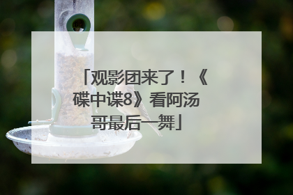 观影团来了！《碟中谍8》看阿汤哥最后一舞